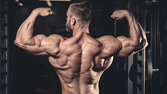 Quel équipement de fitness peut être utilisé pour l'entraînement musculaire des épaules?