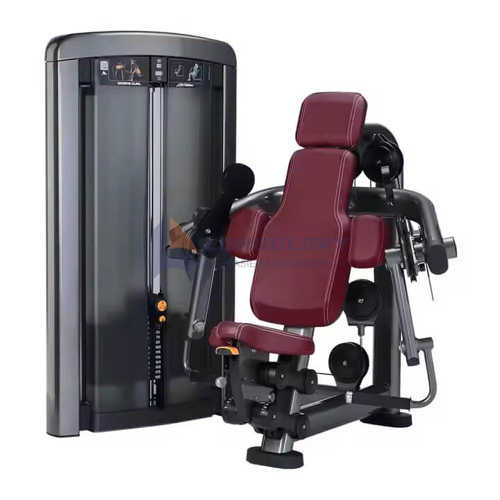 Bicept Curl et Triceps Machine