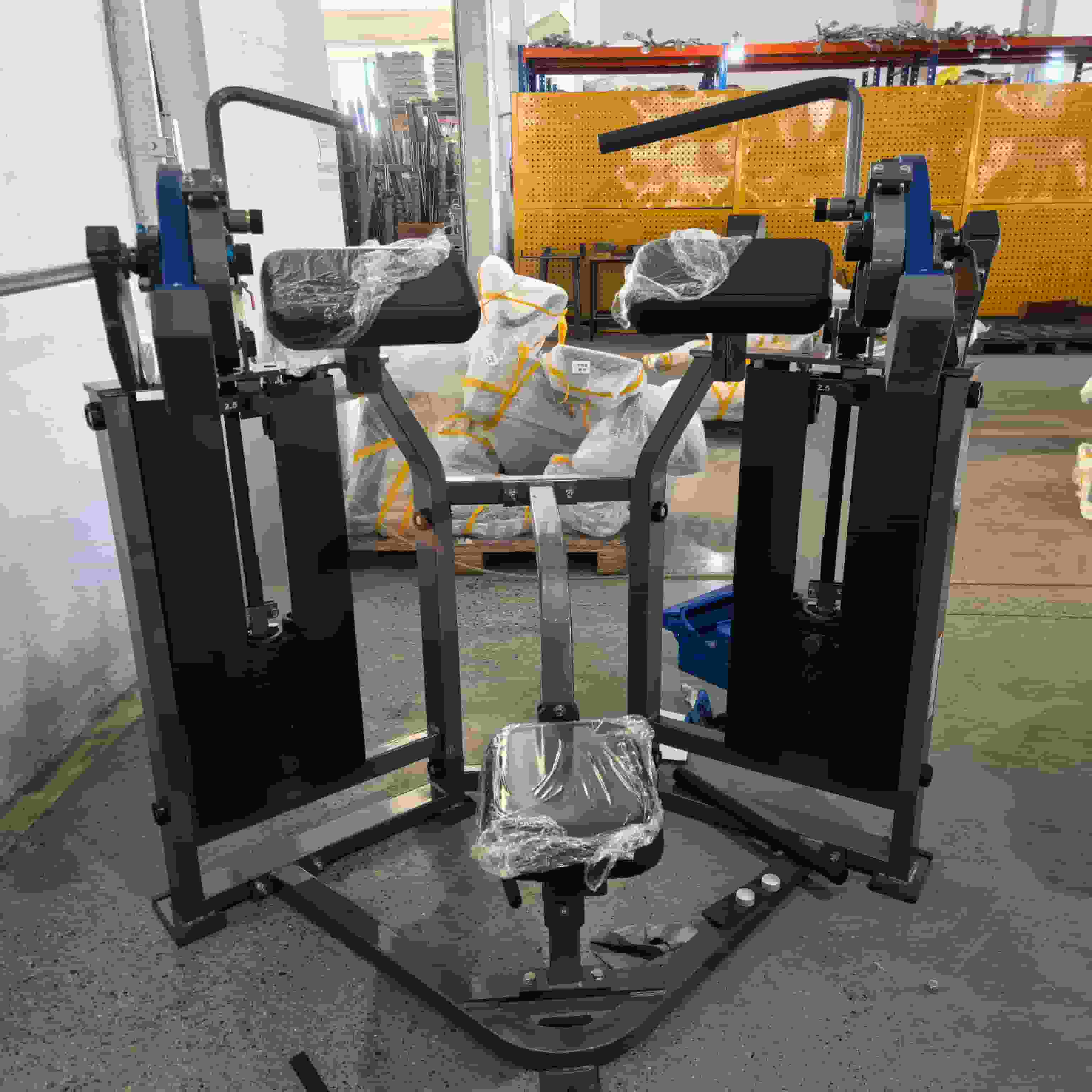 Machine à biceps latéraux ISO