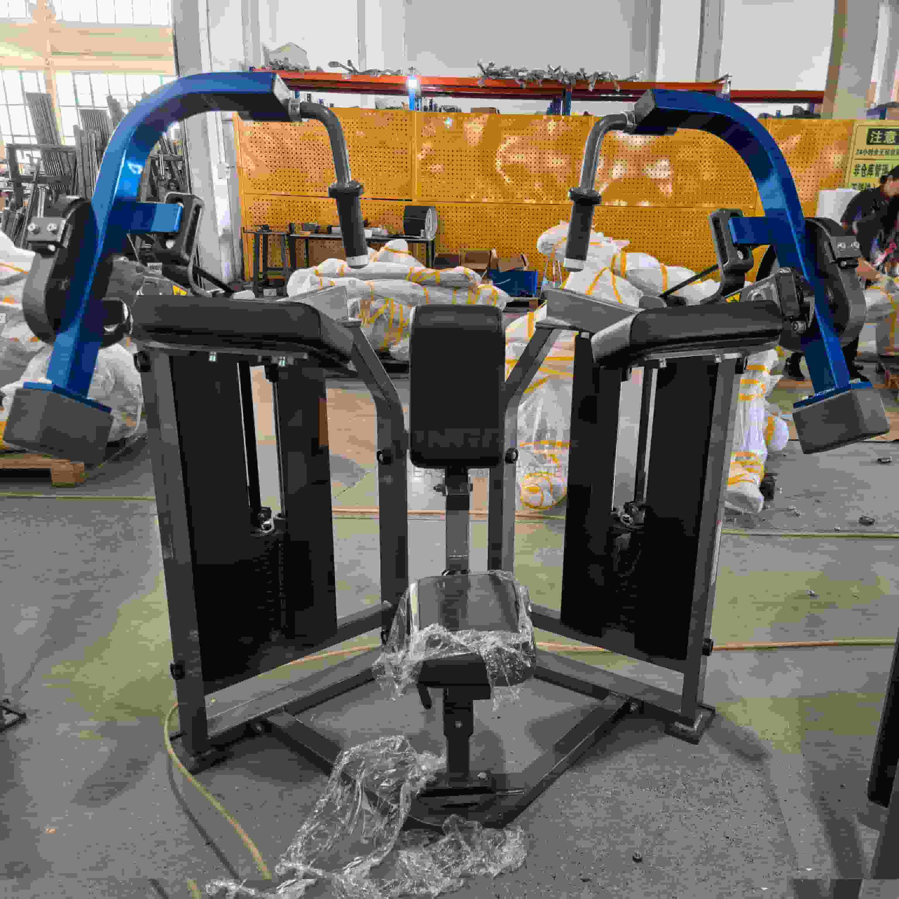 Machine d'extension de triceps latérale ISO